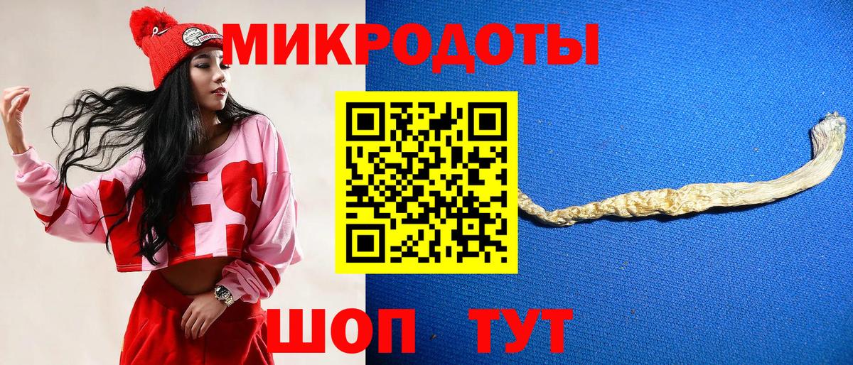 Кумертау  Псилоцибиновые грибы GOLDEN TEACHER  Вход с VPN  Псилоцибиновые грибы прущие грибы 